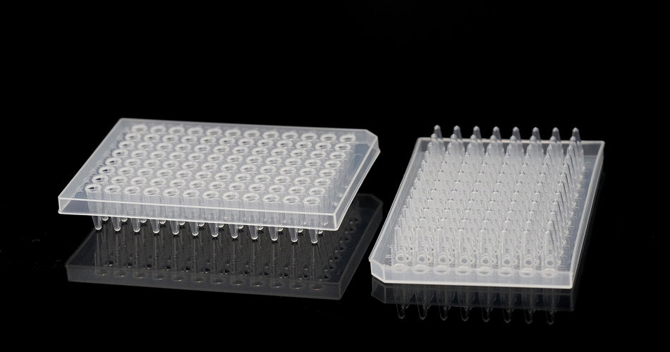 PCR 96-Well Plate