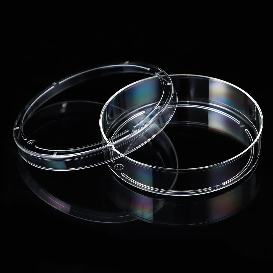 Cell Culture Dish