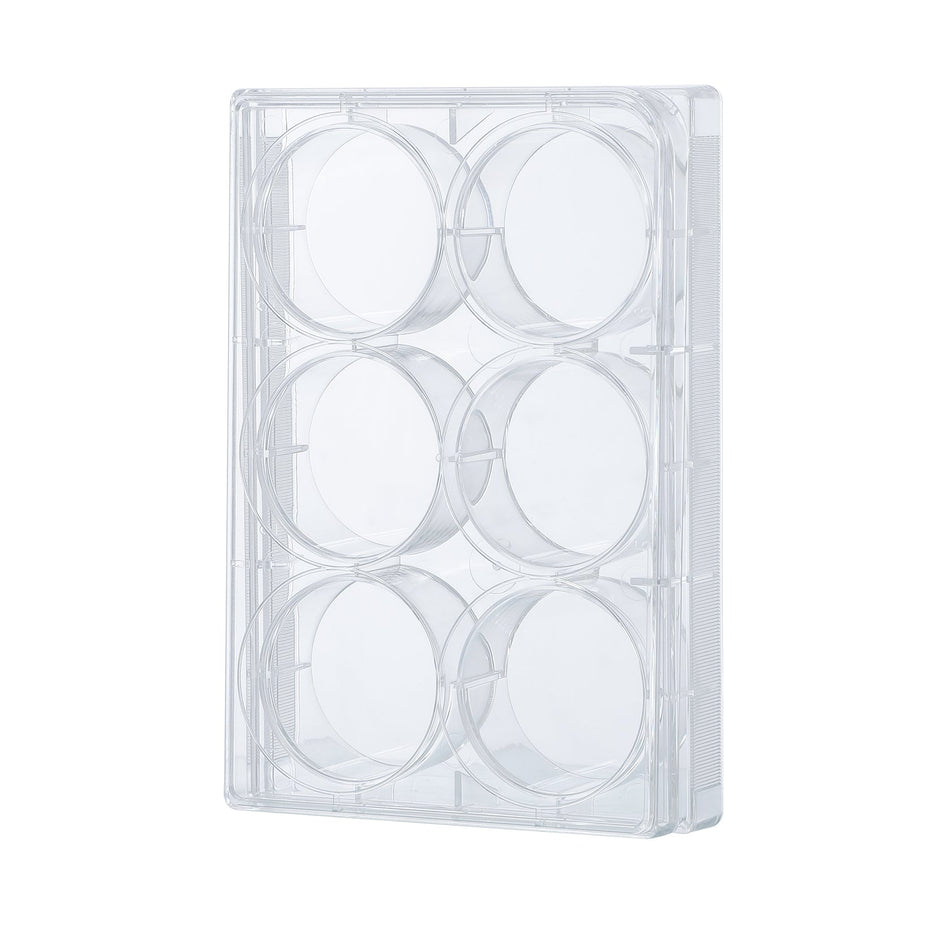 Cell Culture Plate