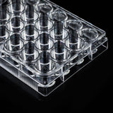 Cell Culture Plate